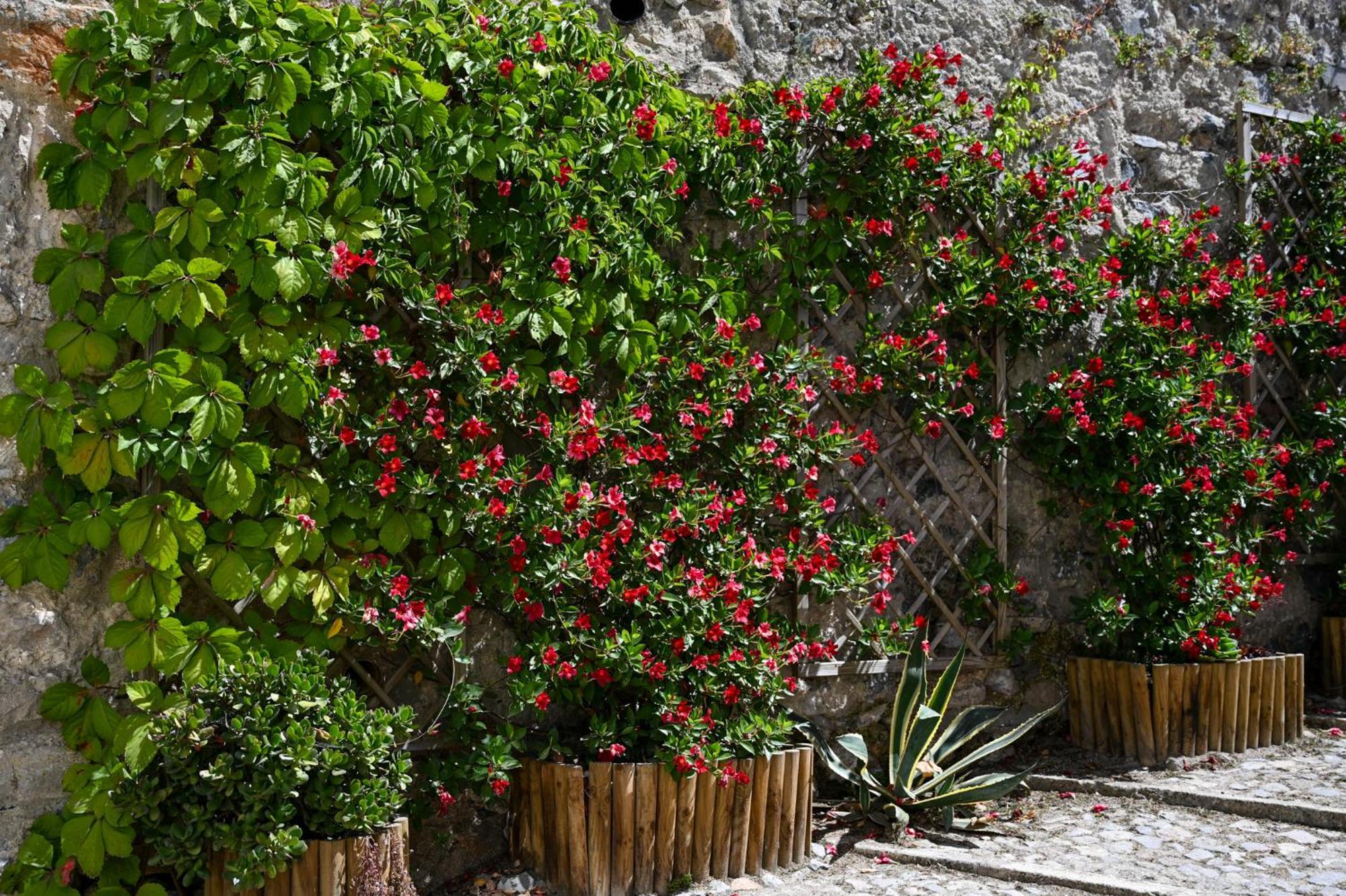 Apartmán Casa Do Briamante 9 Sintra Exteriér fotografie